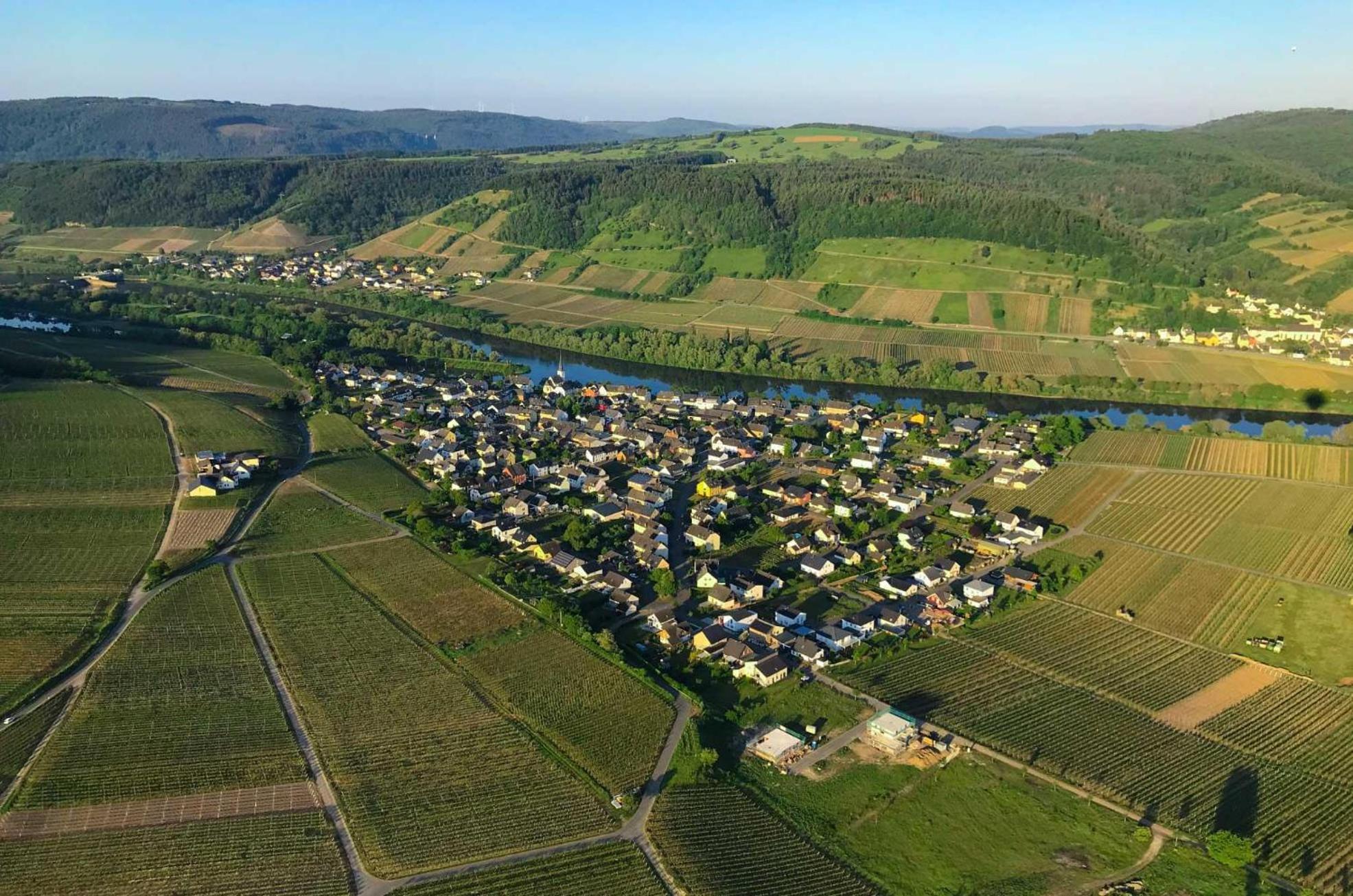 Ferienwohnungen Moselterrasse Detzem Exterior foto